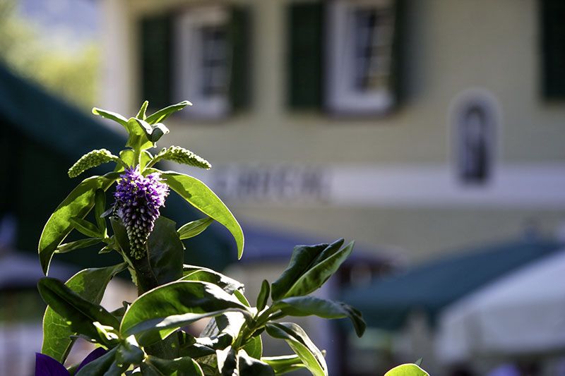 Hochzeit Mondsee Attersee